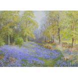 Albert H Findley, Bluebell Woods, signed watercolour, 27 x 36cm.