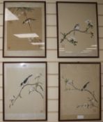 4 Chinese framed bird prints 44.5x32.5