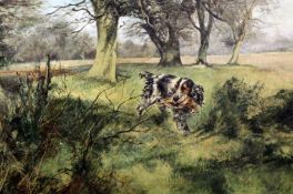 § Henry Wilkinson (1921-2011)oil on canvasSpaniel retrieving woodcocksigned20 x 30in.