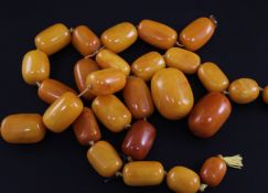 Twenty seven graduated amber beads, some strung, gross weight 188 grams.
