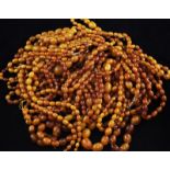 Four single strand graduated oval yellow amber bead necklaces, two with gilt metal clasps, gross 105