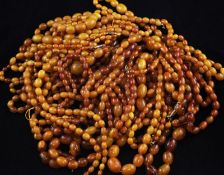Four single strand graduated oval yellow amber bead necklaces, two with gilt metal clasps, gross 105