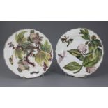 Two Chelsea 'Hans Sloane' botanical plates, c.1755, each painted with botanical specimens and