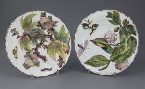 Two Chelsea 'Hans Sloane' botanical plates, c.1755, each painted with botanical specimens and