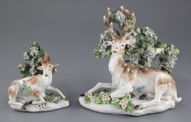 Two Derby porcelain models of recumbent stags, c.1765, each seated before bocage with applied