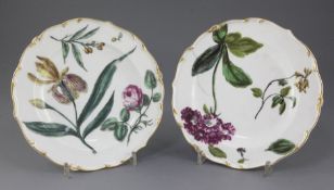 A pair of Chelsea botanical dessert plates, c.1765, painted in 'Hans Sloane' style, the petal