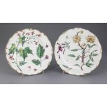A pair of Chelsea botanical dessert plates, c.1765, painted in 'Hans Sloane' style within gilt
