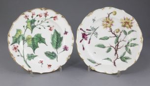 A pair of Chelsea botanical dessert plates, c.1765, painted in 'Hans Sloane' style within gilt