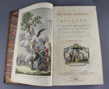 Hill, John, Sir - The British Herbal, First edition. Large folio, original sheep boards -
