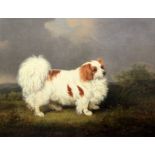 Henry Bernard Chalon (1770-1849)oil on canvasPortrait of a King Charles Spaniel standing in a