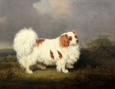 Henry Bernard Chalon (1770-1849)oil on canvasPortrait of a King Charles Spaniel standing in a