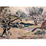 § Julian Trevelyan (1910-1989)pencil and watercolourStudy of an olive grovesigned in pencil and