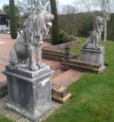 A pair of a 17th century Italian style composite lions sejant 35in., raised on rectangular plinths