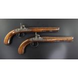 A pair of early 19th century percussion lock pistols, by Wogdon of London, 14in.