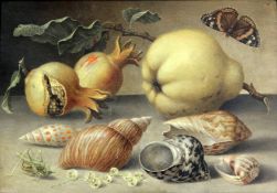 Manner of Balthasar van der Ast (1593-1657)oil on wooden panelStill life of fruit, shells and a