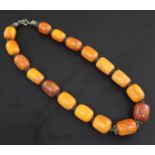 A single strand graduated amber bead necklace, with white metal spacers, gross weight 50 grams,