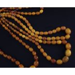 Four single strand graduated oval yellow amber bead necklaces, two with gilt metal clasps, gross 123
