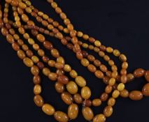 Four single strand graduated oval yellow amber bead necklaces, one with gilt metal clasp, gross
