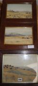 A.M. Goodall, three watercolours, South African landscapes, signed and dated 1905, largest 21 x