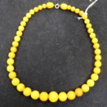 A single strand amber bead necklace, gross 25.7 grams.