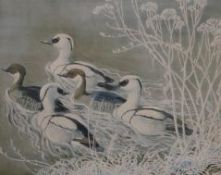 C.F. Tunnicliffe, limited edition print, Mallards, 345/500, 40 x 50cm