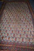 A Caucasian rug, 270 x 160cm