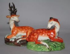 An early 19th century Staffordshire pearlware recumbent stag and a similar doe