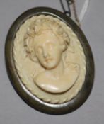 A horn mounted carved ivory cameo brooch, 2in.