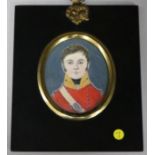 Victorian School, oil on ivory, miniature of an Officer of the 22nd Regiment, 6.5 x 5cm