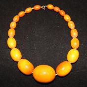 A single strand graduated oval amber bead necklace with 9ct gold clasp, gross 83 grams, 16in.