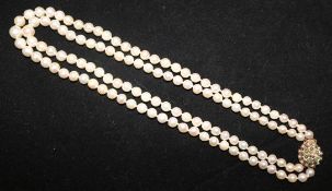 A double strand cultured pearl necklace with 9ct gold , turquoise and split pearl set clasp, 16.