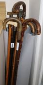 10 various handled walking sticks