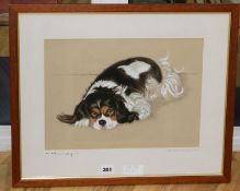 Miles Knowles, pastel, King Charles Spaniel, 28 x 38cm