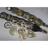 A small collection of horse brasses and two martingale straps