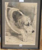 T.K. Nott, charcoal drawing, Study of a hound, signed and dated 1880, 51 x 37cm