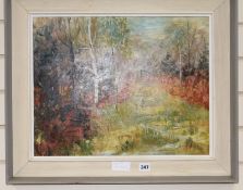 P.A. Adams, oil on board, woodland scene, 39 x 50cm