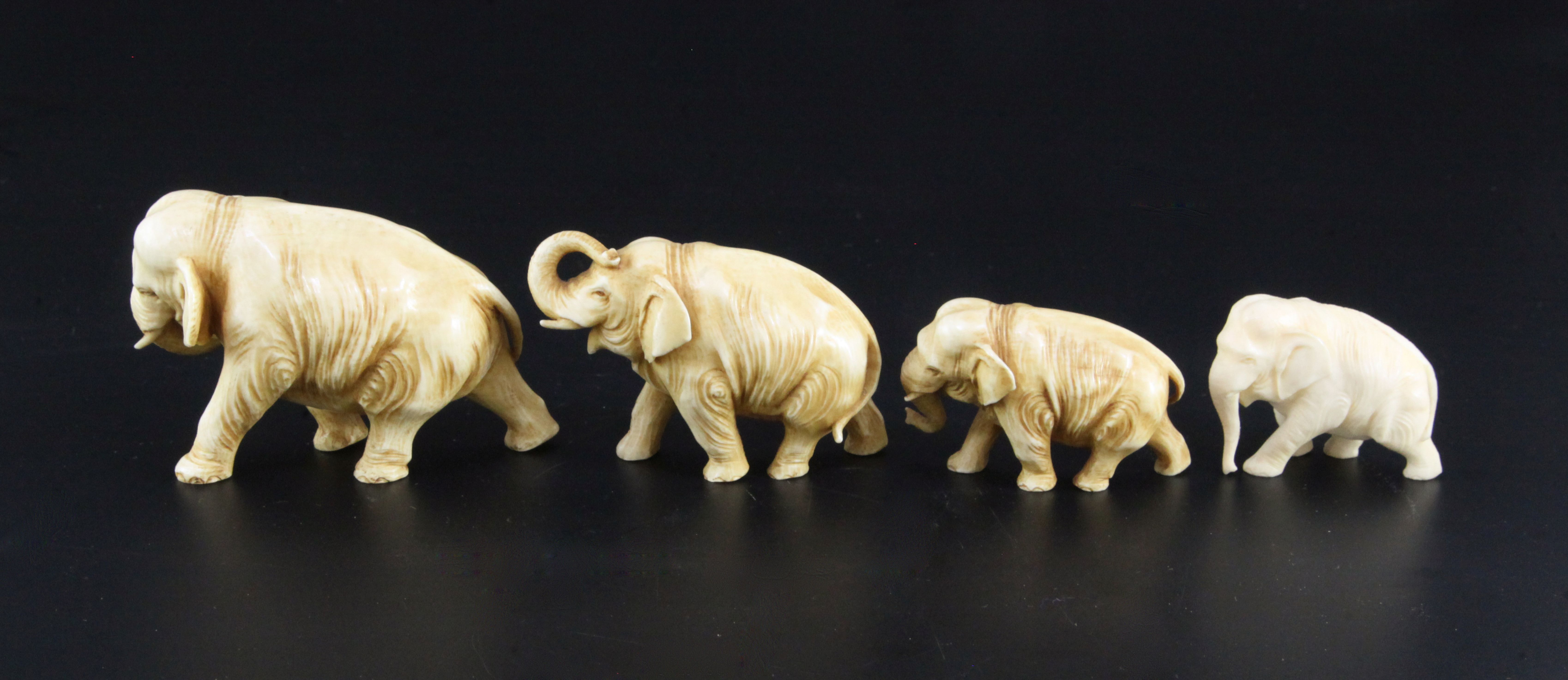 A Japanese graduated set of four ivory figures of elephants, in various poses, length 5.2cm - 9.3cm - Image 2 of 3