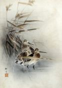 Japanese School (early 20th century), watercolour on paper of a snipe, signed 'Shoyo'?, 56cm x 41.