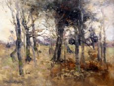 William Alfred Gibson (1866-1931)oil on wooden panelStudy of Birch treessigned and dated '9710.5 x