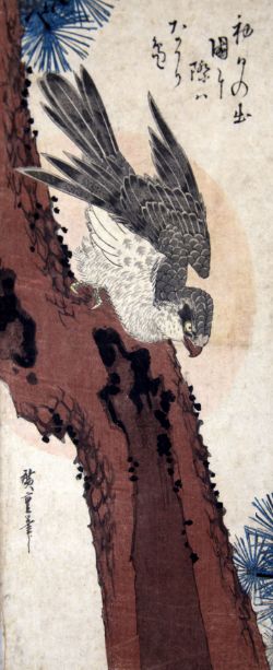 Asian Art and Paintings and Prints