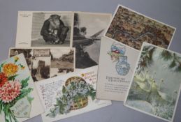 Postcard album and loose postcards of Brighton etc