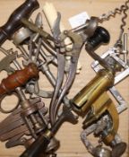 A collection of corkscrews