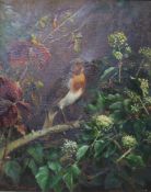 Henry W. Carter, oil on canvas, Robin on a branch, signed and dated 1907, 27 x 22cm