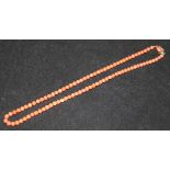 A coral bead necklace, 20in.