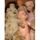 Two teddy bears and a collection of dolls