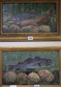 A pair of oils on board, fish on the sea bed, one indistinctly signed, 26 x 45cm