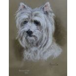 Marjorie Cox, pastel study of a West Highland Terrier, signed dated 1972, 45 x 35cm