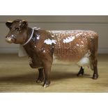 A Beswick Dairy Shorthorn cow, designed by Arthur Gredington, CH Eaton Wild Eyes 91st, model No.