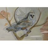 Luca Palermo (b. Rome 1956), watercolour and bodycolour, study of an owl, signed and dated 77 and