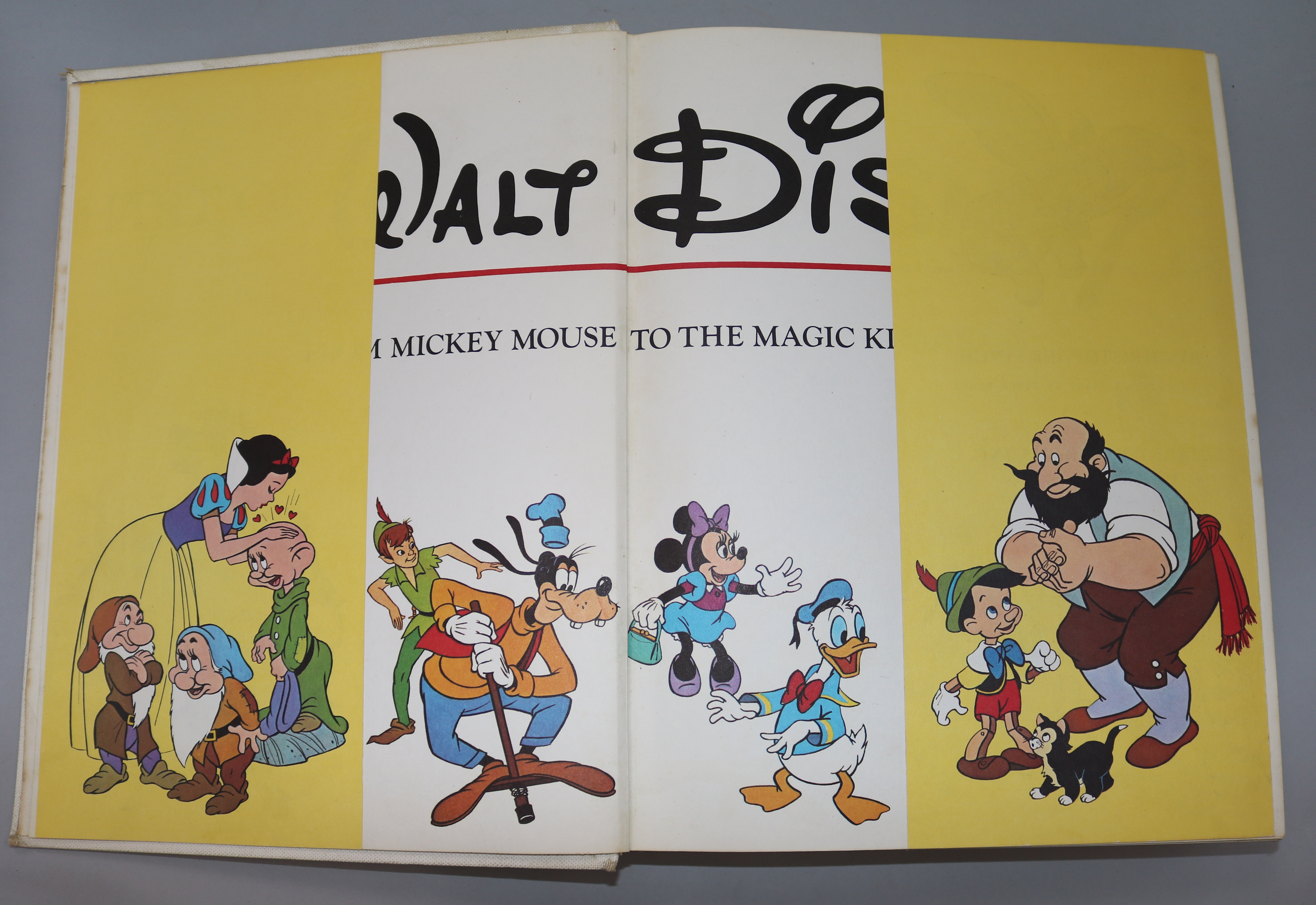 A Mickey Mouse book